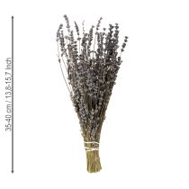 Article Lavande séchée, fleurs séchées parfumées, 35-40 cm, 100 g