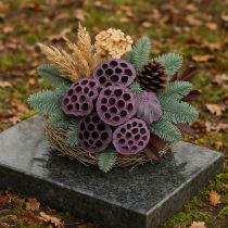 Article Capsules de lotus, fleuriste sèche, bulbe de lotus rose, blanc lavé 50 pièces