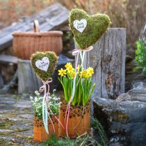 Article Lanterne décorative en métal rouille, jardinière en métal Ø12cm H17cm