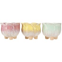 Article Mini jardinière en céramique, pot de fleurs assorti Ø8cm H7cm 3pcs