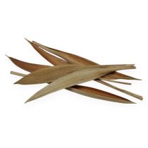 Article Feuille coco mini Feuilles de cocotier naturelles 0,5kg