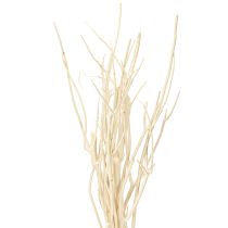 Article Branches de Mitsumata blanches 34-60 cm 12 pièces