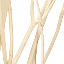 Article Branches de Mitsumata blanches 34-60 cm 12 pièces