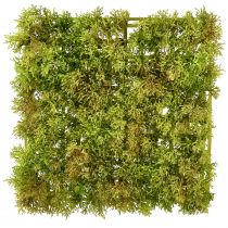 Article Tapis de mousse artificielle – parfait pour l&#39;image de mousse vert clair 25×25cm
