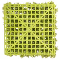 Article Tapis de mousse artificielle – parfait pour l'image de mousse vert clair 25×25cm