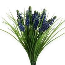 Jacinthes de raisin 28cm - 30cm Bleu 15 pcs