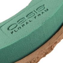 Article Lot de 6 anneaux en mousse florale biodégradable OASIS® Biolit®, 17 cm