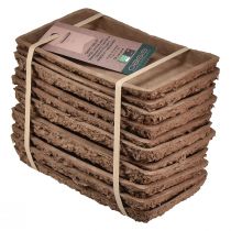 Article Socle Oasis Biolit pour briques de mousse florale 25×14×2cm, lot de 11 - Accessoires de fleuriste pour compositions florales durables