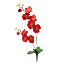 Orchidée décorative rouge 68cm
