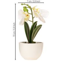 Article Mini orchidées artificielles blanches en pot de 15 cm