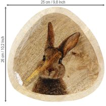 Article Assiette de Pâques Assiette décorative en bois Lapin 25×26cm