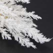 Article Herbe de la pampa blanche, herbes séchées artificielles, plantes artificielles