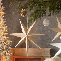 Article Étoiles en papier pour décorations d&#39;arbre à suspendre blanc naturel 16 cm 6 pièces