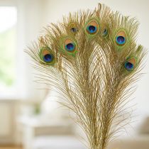 Article Décoration en plumes de paon, véritables plumes d'oiseau, longueur 75-85 cm, 8 pièces