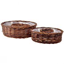Article Anneaux de plantes en saule naturel en deux tailles – 32 cm et 25 cm – Idéal pour la table – Lot de 2