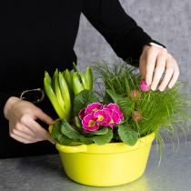 Article Lot de 3 coupes en métal colorées avec anses - Décoration de printemps 25 cm