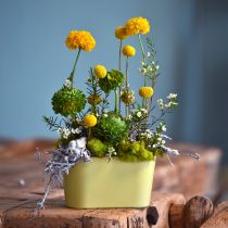 Article Lot de 3 pots de fleurs décoratifs ovales en plastique jaune, dimensions 20 x 10 x 11 cm