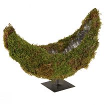 Article Bol à plantes sur socle mousse demi-lune décorative 40×15×30cm