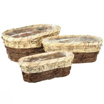 Article Bac à plantes, bois naturel, 3 couleurs, L29,5/25/23cm, lot de 3