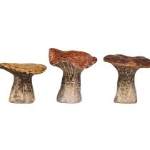 Article Figurines décoratives en forme de champignons – Teintes brunes, 6,4 cm, set de 3 – Déco nature pour maison et jardin