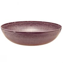 Article Élégant bol en plastique violet 37x10,5 cm - polyvalent pour la décoration - 3 pièces