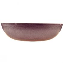 Article Élégant bol en plastique violet 37x10,5 cm - polyvalent pour la décoration - 3 pièces