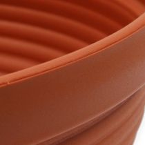 Article Bol R en plastique terre cuite Ø 13 cm - 19 cm, 10 pièces