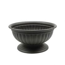 Article Bol avec base anthracite Ø26cm