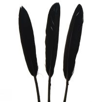 Article Plumes noires Plumes d&#39;oie décoratives noires 11-14 cm 180 pcs