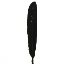 Article Plumes noires Plumes d&#39;oie décoratives noires 11-14 cm 180 pcs