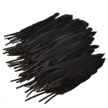 Article Plumes noires Plumes d'oie décoratives noires 11-14 cm 180 pcs