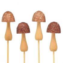 Article Bouchon de fleur bouchon décoratif champignon bois marron Ø2,5cm 8 pièces
