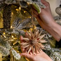 Article Étoiles décoratives en papier avec corde en jute, 10 cm, brun naturel