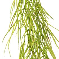 Article Succulente suspendue verte 145cm