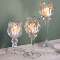 Article Porte-bougie chauffe-plat en verre, forme de fleur décorative pour une ambiance élégante, 17 cm