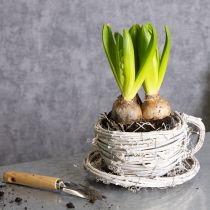 Article Tasse à thé en matériau naturel au charme rustique, idéale pour une décoration intérieure exclusive (13 cm).