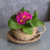 Article Panier à thé pour une décoration intérieure naturelle et une ambiance charmante 15 cm