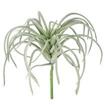 Article Plantes vertes artificielles succulentes Tillandsia 13 cm