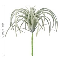 Article Plantes vertes artificielles succulentes Tillandsia 13 cm