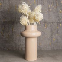 Article Fleurs séchées fenouil crème blanchi 45cm bouquet 10 pcs