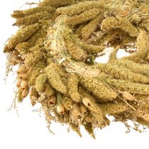 Article Couronne décorative séchée de chardons et de millet dans les tons jaune-vert olive, style champêtre naturel, Ø 28 cm, décoration murale et de table polyvalente