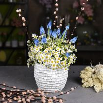 Article Jardinière Béton Blanc Vintage Nid d&#39;Abeille Pot de Fleur Décoratif H15cm Ø15cm