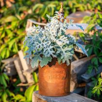 Article Jardinière Décorative Patine Métal Avec Robinet H25/37/43cm Lot de 3 pcs
