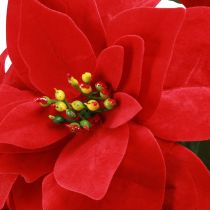Article Poinsettia Étoile de Noël Rouge Artificiel L55cm 2pcs