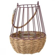 Article Lanterne avec anse et verre violet naturel Ø18cm H22cm