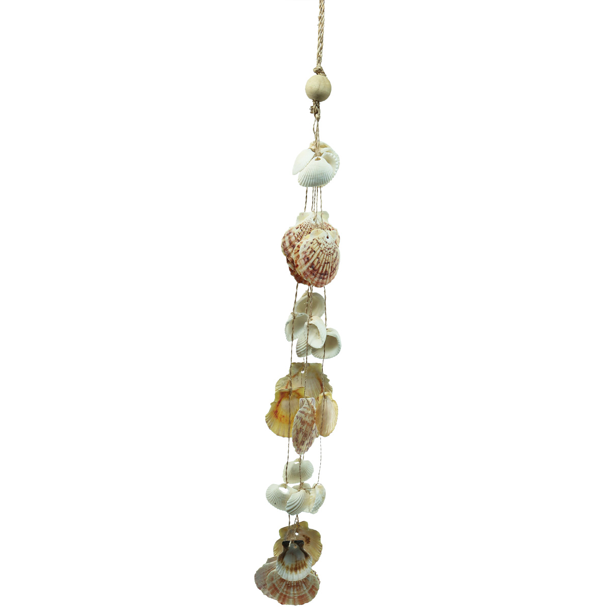 200-230 Petits Coquillages Décoratifs Naturels - Tailles 5-20 Mm, Mélangés, Pour Bricolage Et Décoration