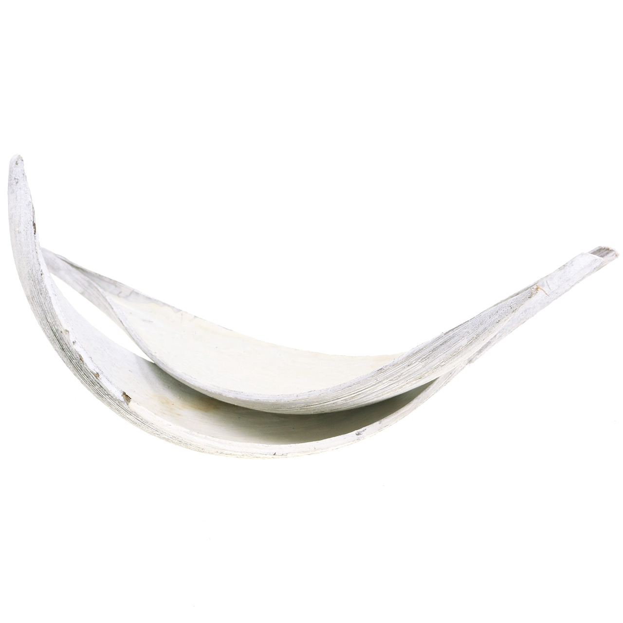 Noix de coco étoile blanche lavée 10cm 20pcs-26963