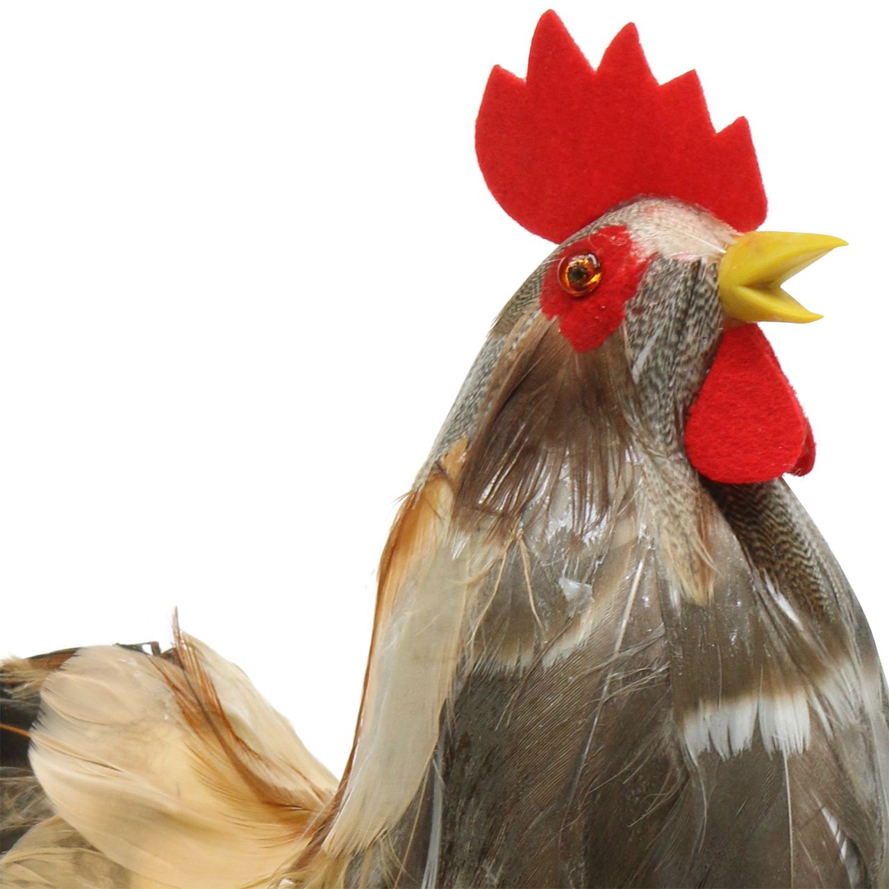 Comment Couper Les Plumes Des Poules Comment Couper Les Plumes Des Poules - Communauté MCMS
