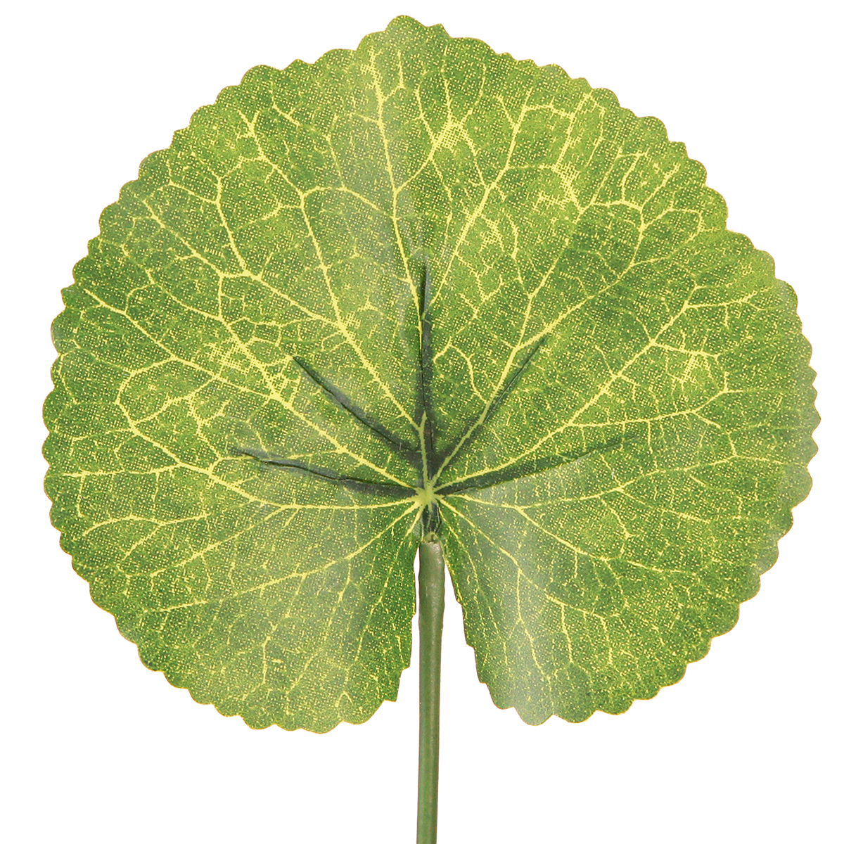 Floristik24.fr Feuilles artificielles Galax Urceolata