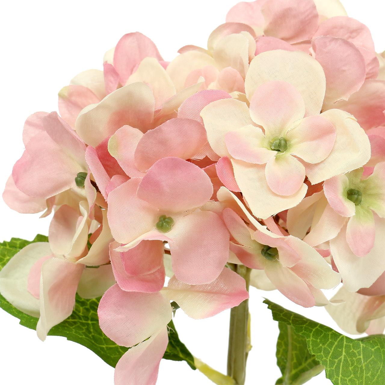 Floristik24 fr Hortensia Rose Cr me 36 Cm Acheter Pas Cher En Ligne floristik24-fr-hortensia-rose-cr-me-36-cm-acheter-pas-cher-en-ligne